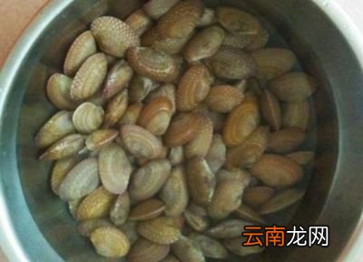 炒花甲通用的注意事项