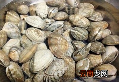 姜葱炒花甲需要加水吗