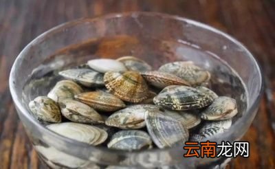 炒花哈好吃小技巧花蛤要不要过水