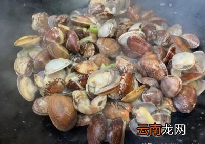 问题导读花蛤怎样炒最好要不要过水