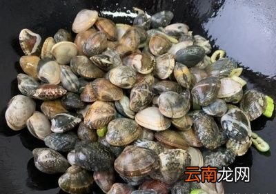 问题导读花蛤怎样炒最好要不要过水