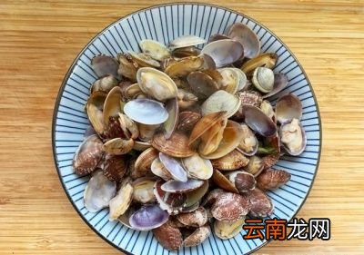 问题导读花蛤怎样炒最好要不要过水