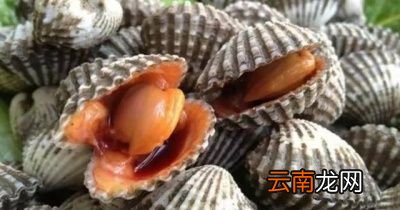 血蛤的血水不是精华吗这么做是不是浪费了
