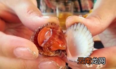 血蛤的血水不是精华吗这么做是不是浪费了