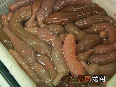 我最喜欢吃的几种海鲜