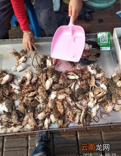 我最喜欢吃的几种海鲜