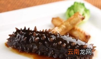 --你喜欢吃哪些海鲜--