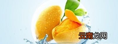 孕期准妈咪可以吃芒果吗