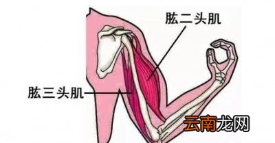 平板支撑的好处