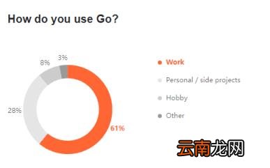go语言编译器哪个好用 go语言ide开发工具