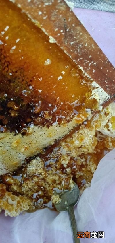 哪个时间喝蜂蜜对身体最好