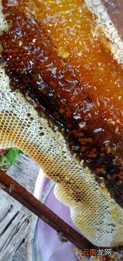 哪个时间喝蜂蜜对身体最好