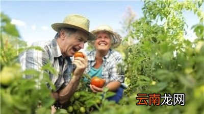 糖尿病人饮食注意事项