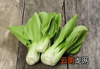 含糖量低和无糖水果和蔬菜有哪些