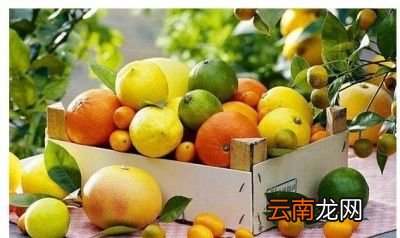 糖尿病高血压吃什么水果比较好