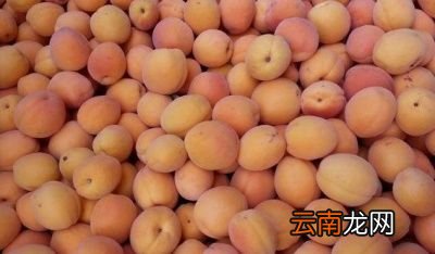 什么是血糖指数
