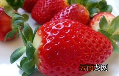 什么是血糖指数