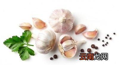男性吃什么去湿气最快