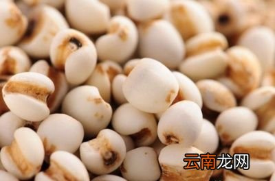 吃什么去湿气最快