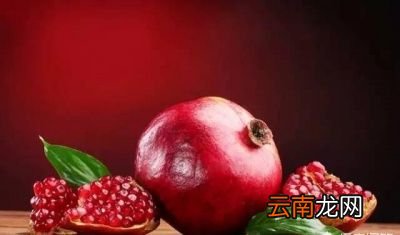 什么树和石榴一起种比较好
