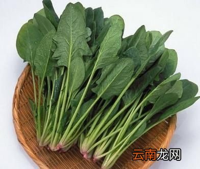 冬季如何吃火锅既不长肉又能减肥