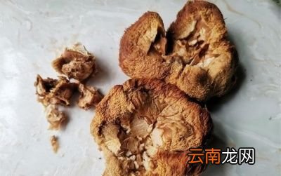 猴头菇泡发小窍门