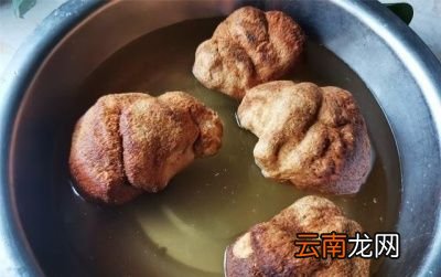 猴头菇泡发小窍门