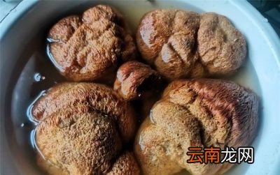 猴头菇泡发小窍门