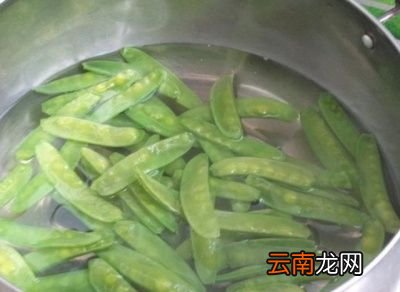 猴头菇泡发小窍门