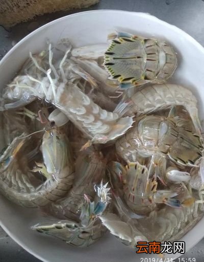 河蟹和虾爬子哪个更好吃