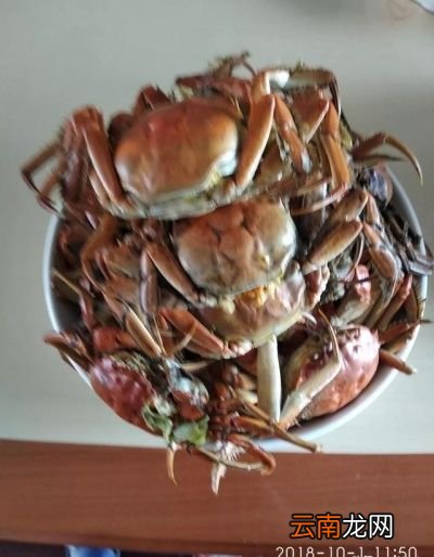 河蟹和虾爬子哪个更好吃