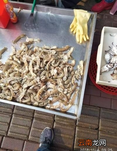 河蟹和虾爬子哪个更好吃