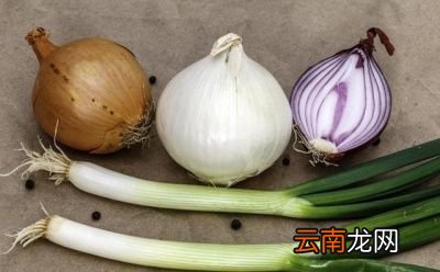 洋葱的其他好处