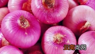 洋葱有哪些功效