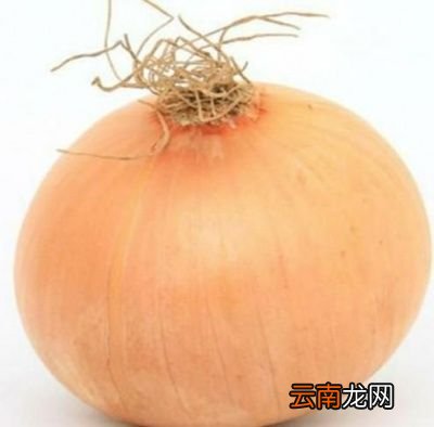 吃洋葱对身体有哪些好处
