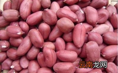 为什么说自榨花生油没有你想象好