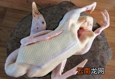 老鸭汤怎样选食材呢