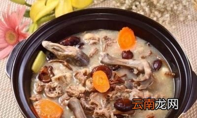 老鸭汤的做法大全老鸭汤