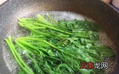 先来看看焯水的定义是什么