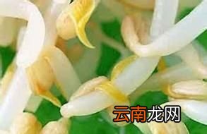 先来看看焯水的定义是什么
