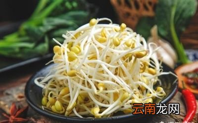 自发黄豆芽的方法