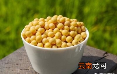 自发黄豆芽的方法