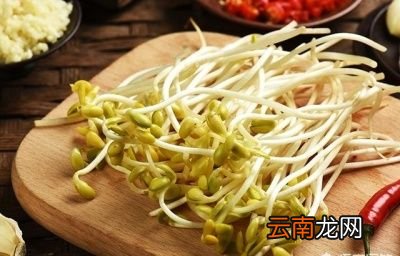 自发黄豆芽的方法
