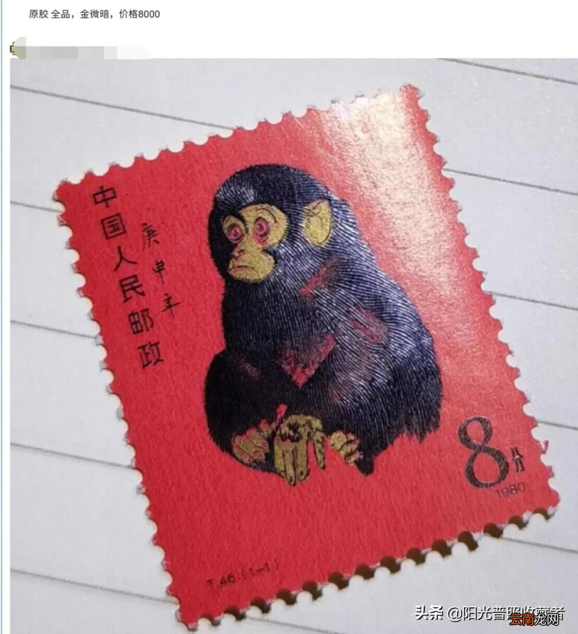 如何提高英语成绩? 如何提高跑步速度