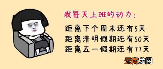 春节租车哪个平台便宜 租车软件哪个便宜好用