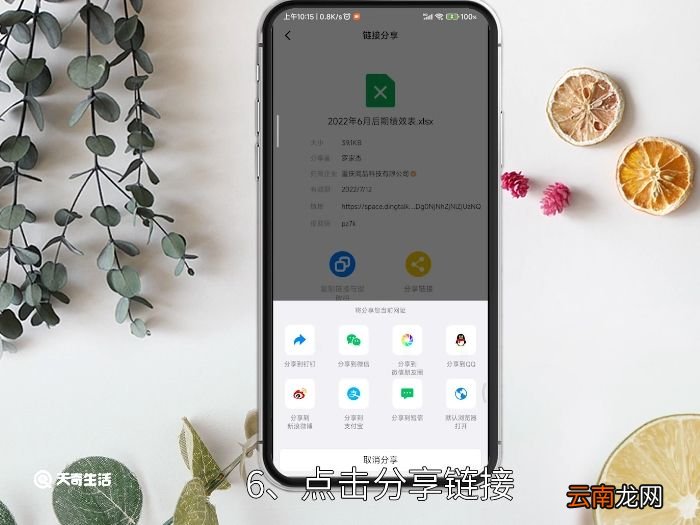 钉钉群的文件怎么转发到微信 钉钉群的文件怎么转发到微信里