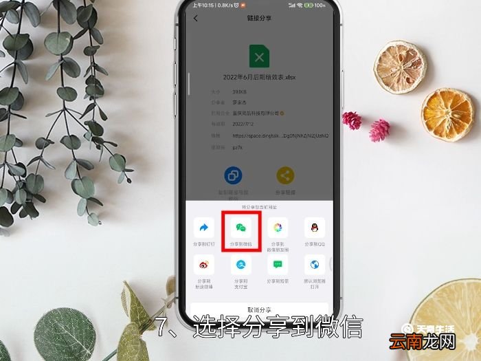 钉钉群的文件怎么转发到微信 钉钉群的文件怎么转发到微信里
