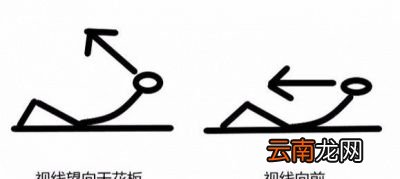 如何在家训练腹肌
