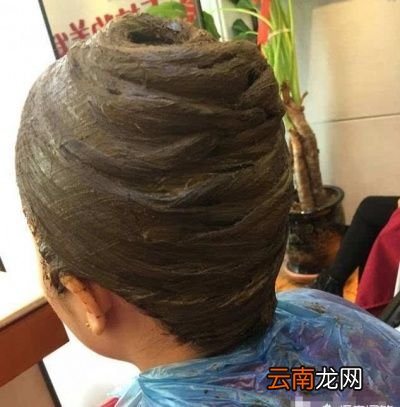 植物染发剂能把白发染黑吗