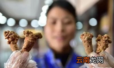 三七粉吃多长时间